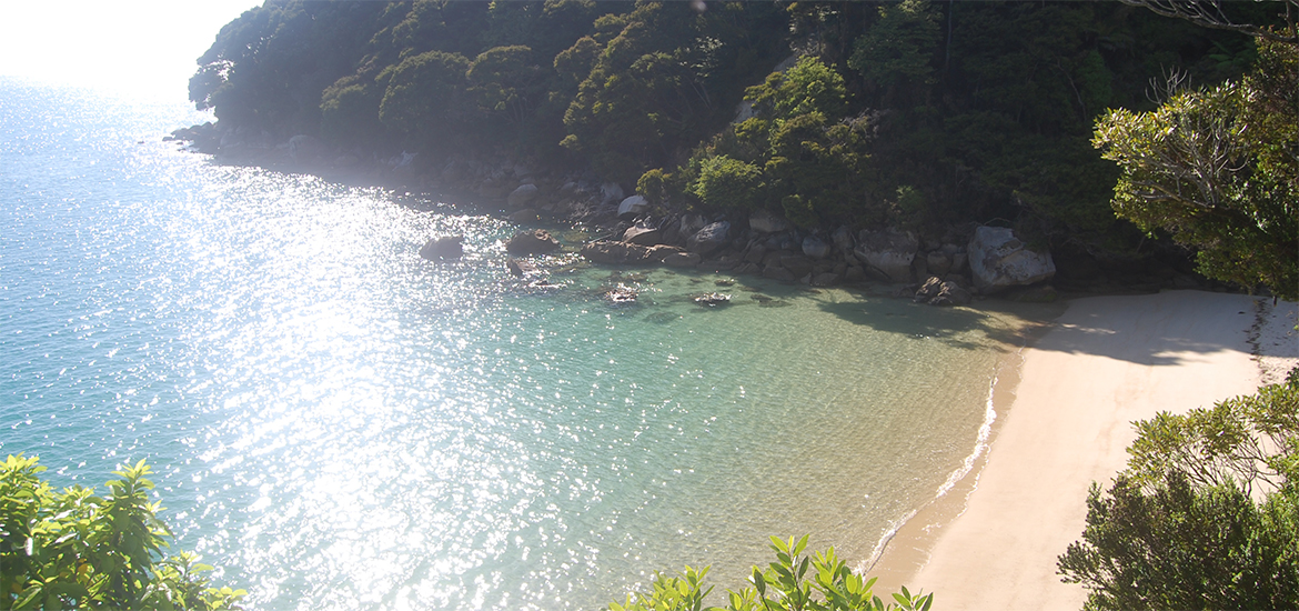 Abel Tasman Soul Food Kayak