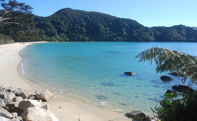 Beach near Bark Bay - Abel Tasman Coastal Track