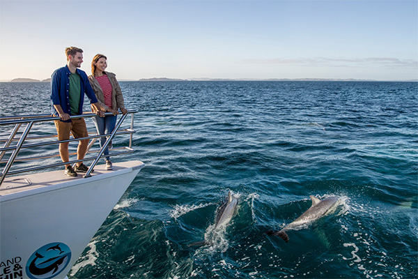 Auckland Harbour Cruise
