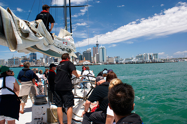 Auckland Harbour Sailing