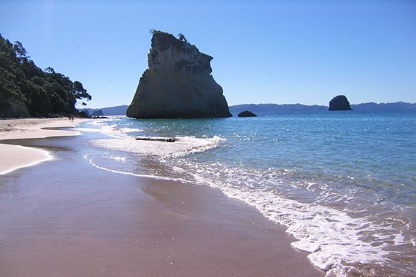 Cathedral Cove Coromandel