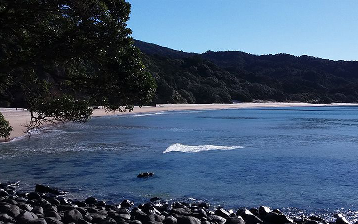 New Chums Beach - Coromandel