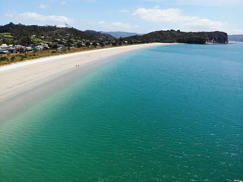 Cooks Beach Coromandel