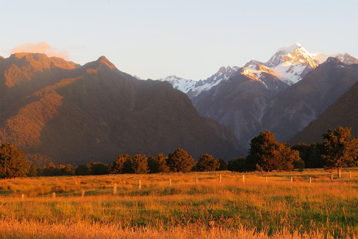 Mt Cook Fox Glacier