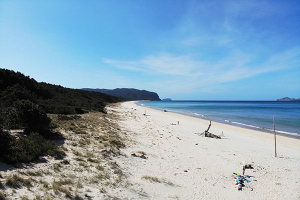 Opoutere Beach Coromandel