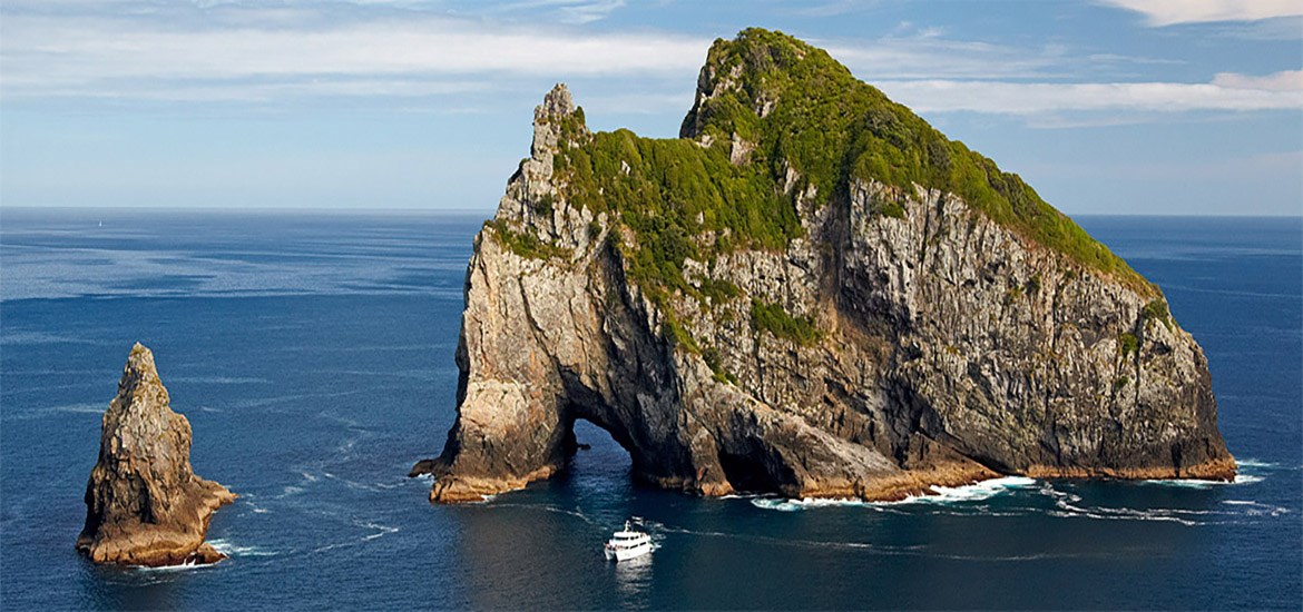 Hole in the Rock Dolphin Cruise  ex Paihia