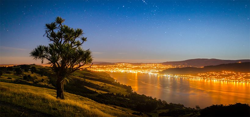 Dunedin