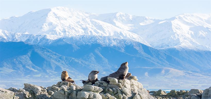 Kaikoura