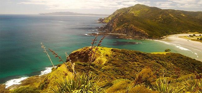 13 Day North Island Self Discovery Journey