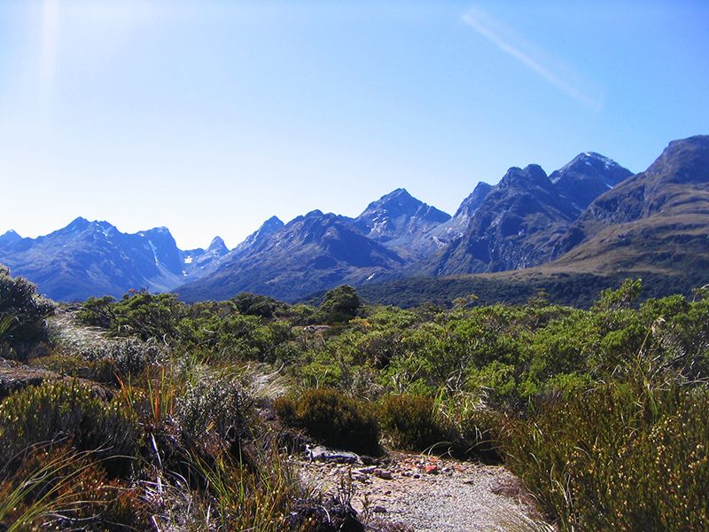 Key Summit Walk on the Routeburn Track