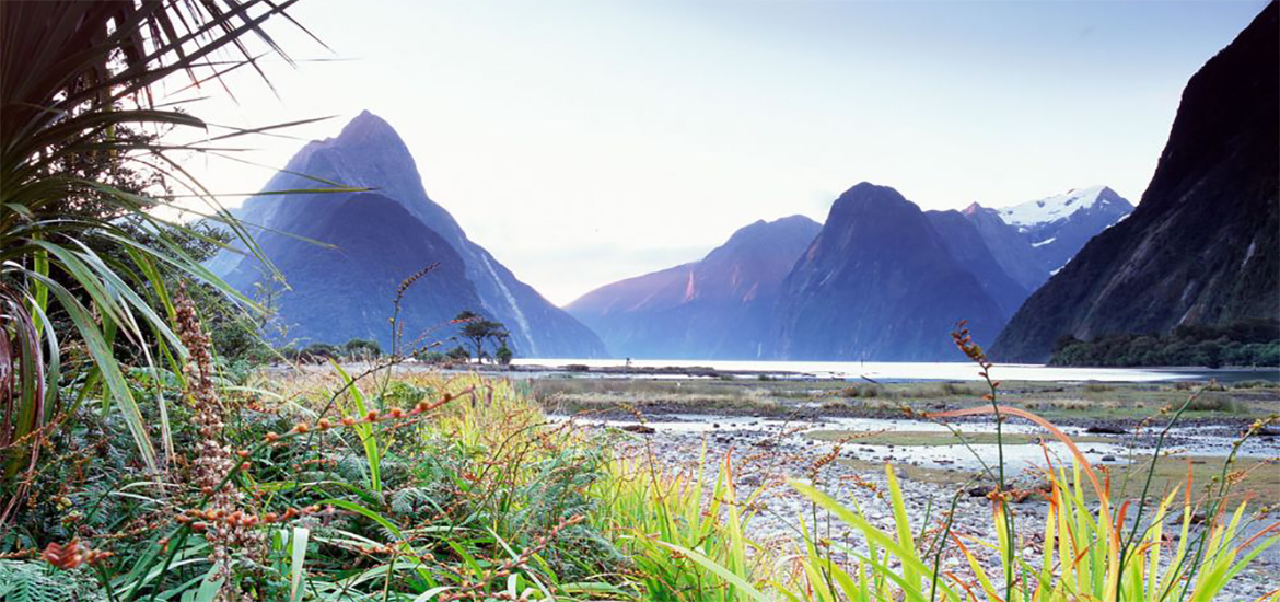 Around New Zealand in 21 days