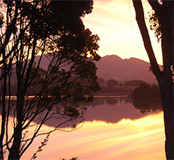 Raglan Estuary - North Island
