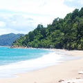 Abel Tasman Coast Track 2