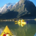 Doubtful Sound kayaking