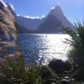Milford Sound