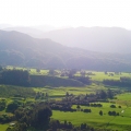 farmlands