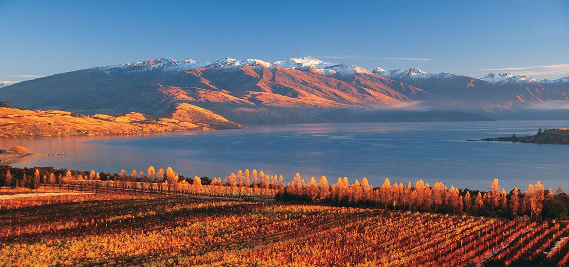 Autumn in Wanaka