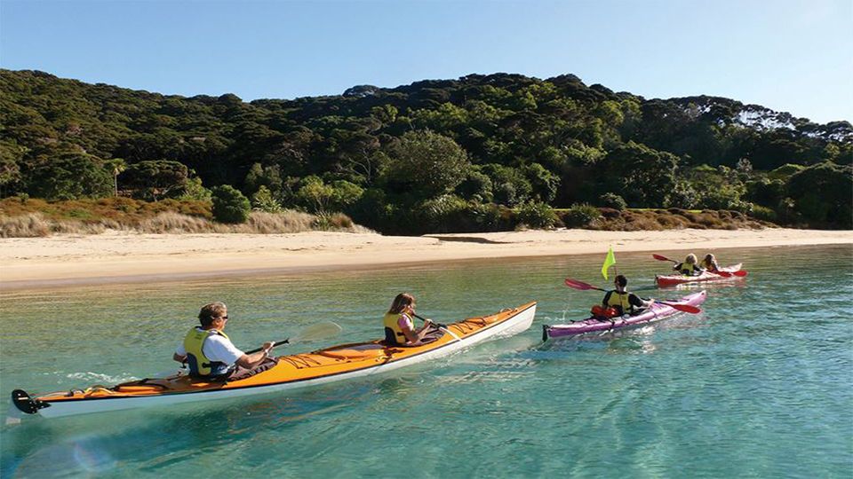 8 Day Top of the South island Self Drive