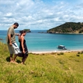 Heli Island Cruise island view