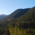 kaweke